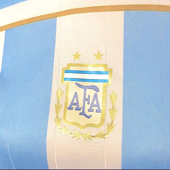 Argentina AFA Soccer Jersey, Men’s Size (One Size Fits All), Men’s Size Large. - Picture 7 of 8